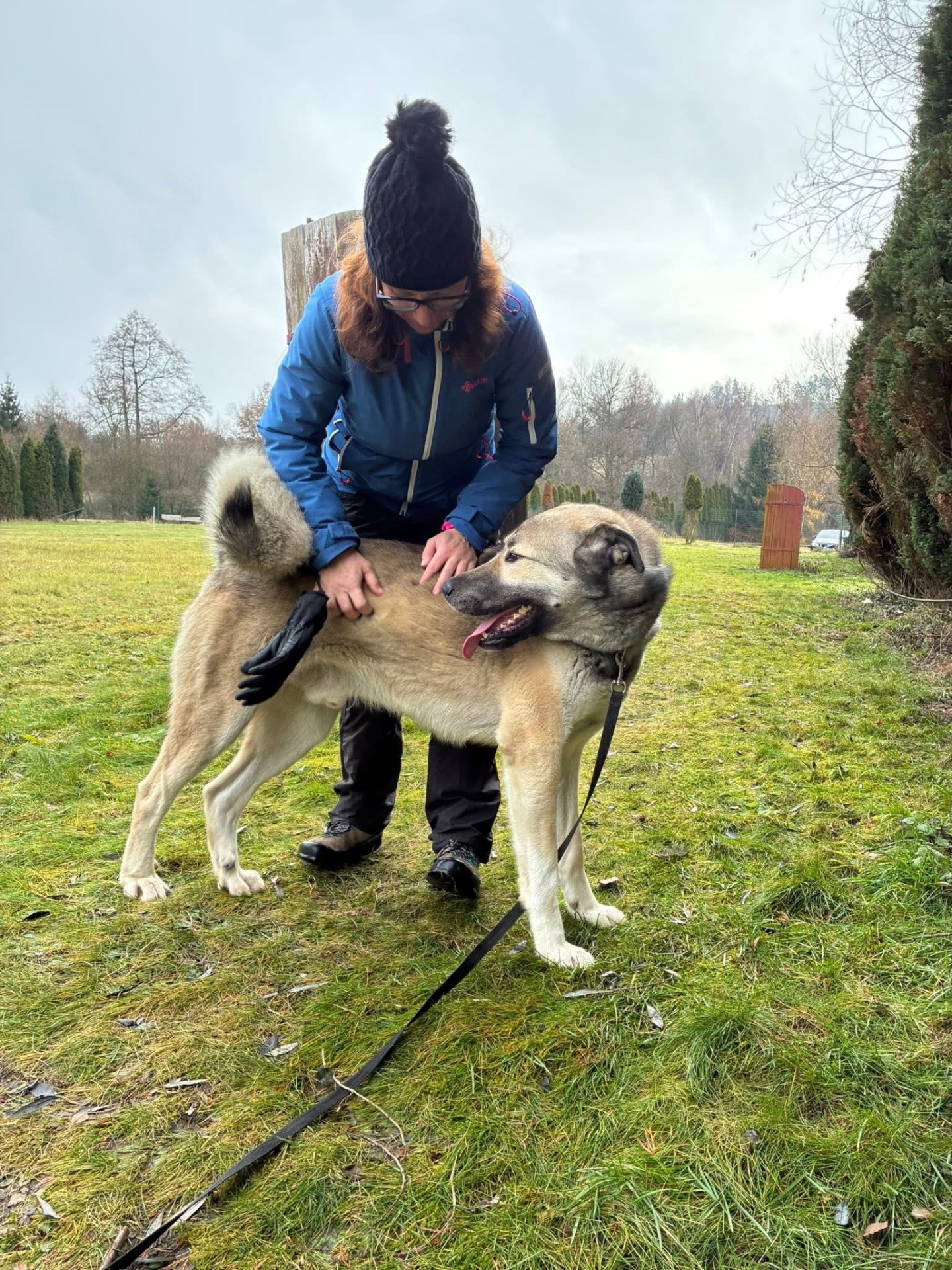 Argo adoptován dne 17.12.2025