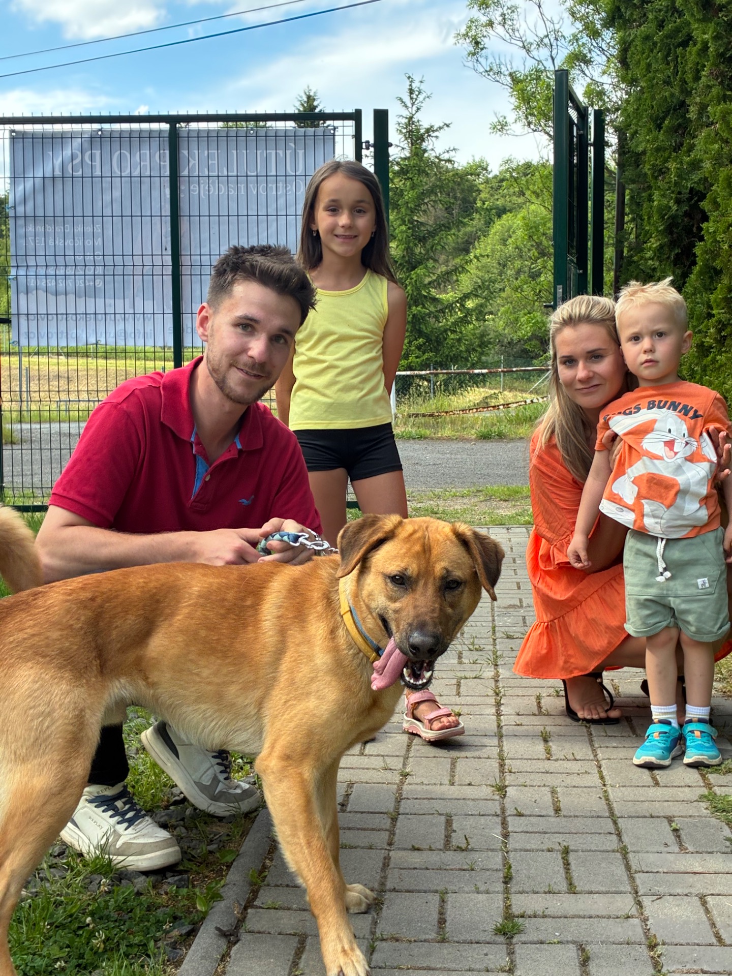 Samík, adoptovaný 6.6.2026